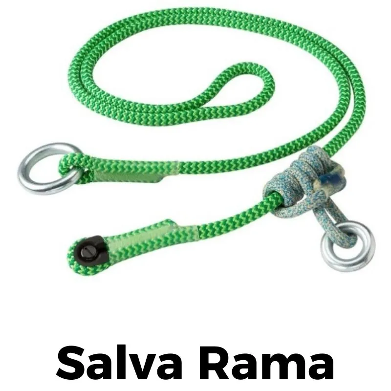 Salva Ramas